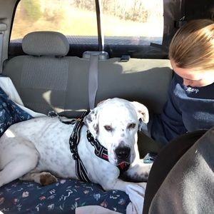 Meet your Posher, Matthew